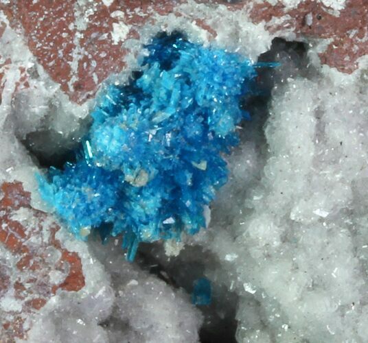 Vibrant Blue Cavansite Clusters on Stilbite - India #67796